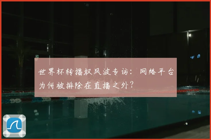 世界杯转播权风波专访:网络平台为何被排除在直播之外?