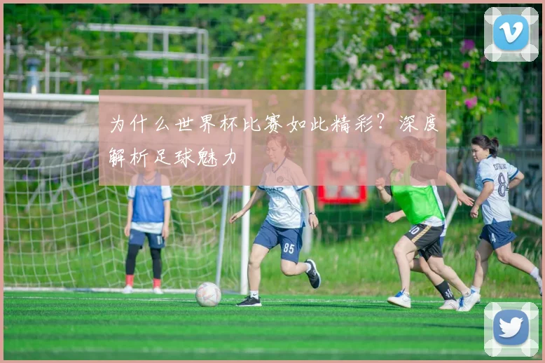 为什么世界杯比赛如此精彩？深度解析足球魅力