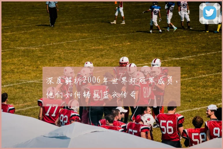 深度解析2006年世界杯冠军成员，他们如何铸就蓝衣传奇