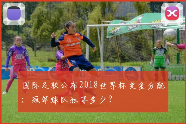 国际足联公布2018世界杯奖金分配：冠军球队独享多少？