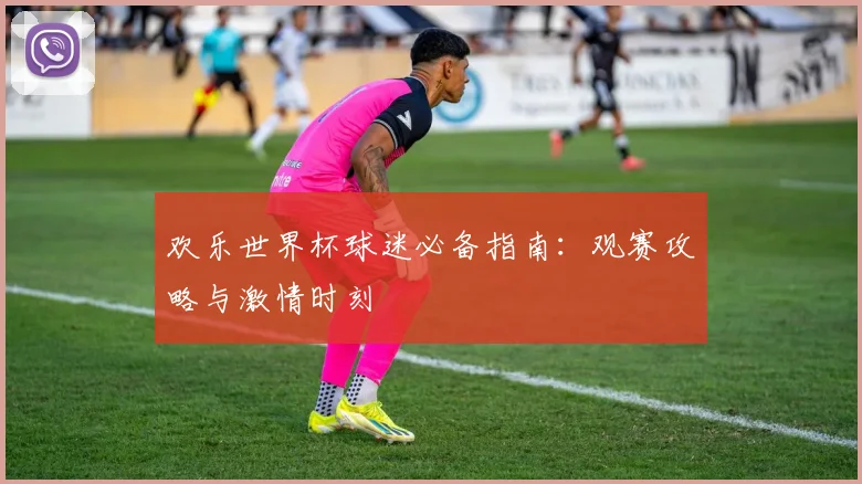 欢乐世界杯球迷必备指南：观赛攻略与激情时刻