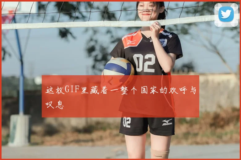 这枚GIF里藏着一整个国家的欢呼与叹息