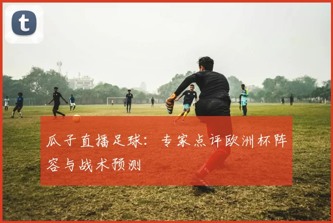 瓜子直播足球：专家点评欧洲杯阵容与战术预测