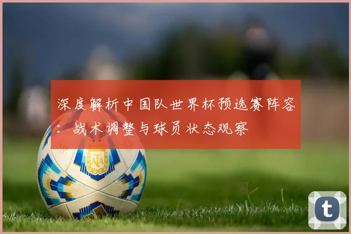 深度解析中国队世界杯预选赛阵容：战术调整与球员状态观察