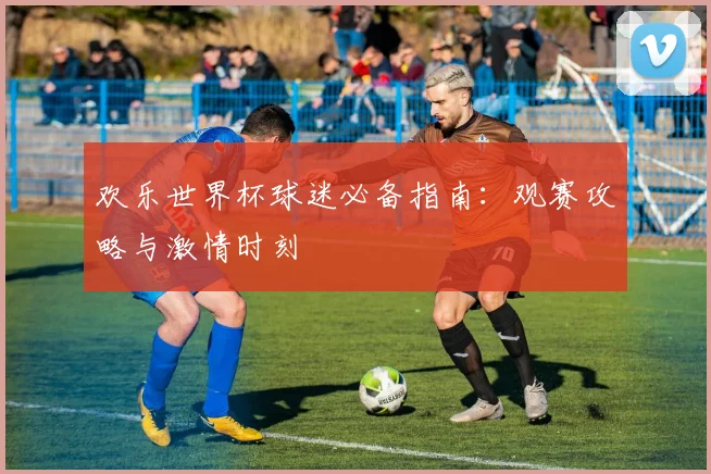 欢乐世界杯球迷必备指南：观赛攻略与激情时刻