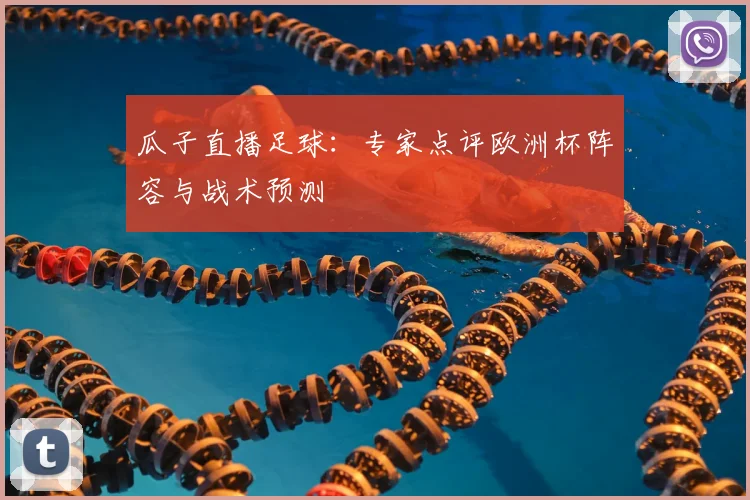 瓜子直播足球：专家点评欧洲杯阵容与战术预测