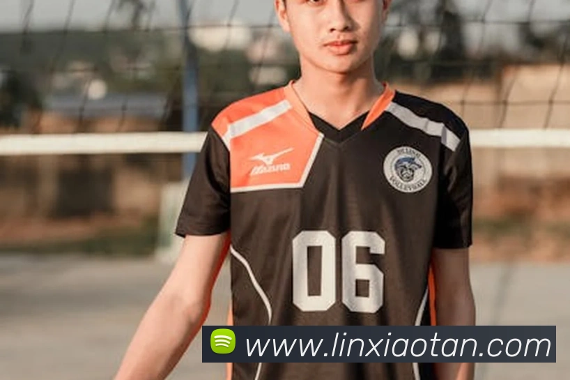 App Interface Preview